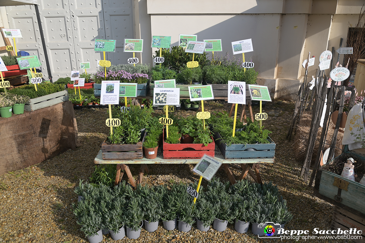 VBS_8943 - Mostra Mercato FloReal 2024.jpg
